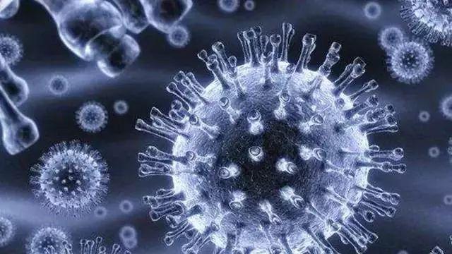 美国Science公布:全球125个最前沿的科学难题(图)