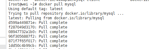 Docker安装MySQL集群【读写分离】 