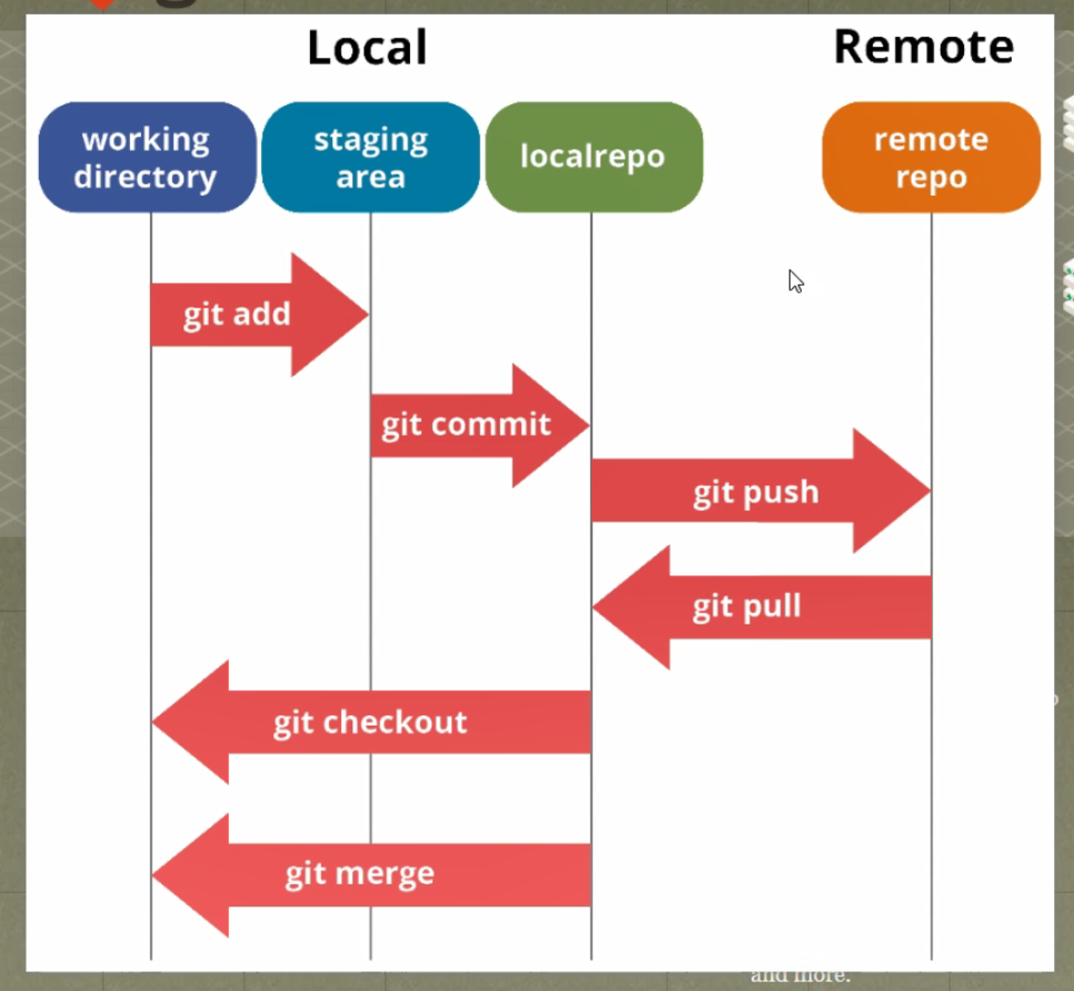 Git的初始化配置和基本命令的使用 