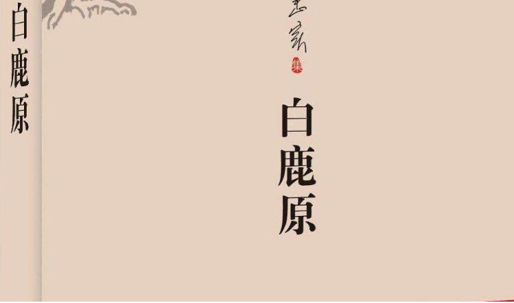 《白鹿原》读后感作文3100字