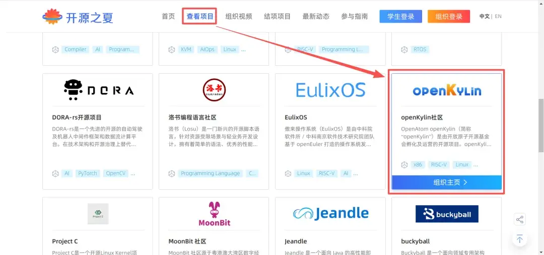 文档图片