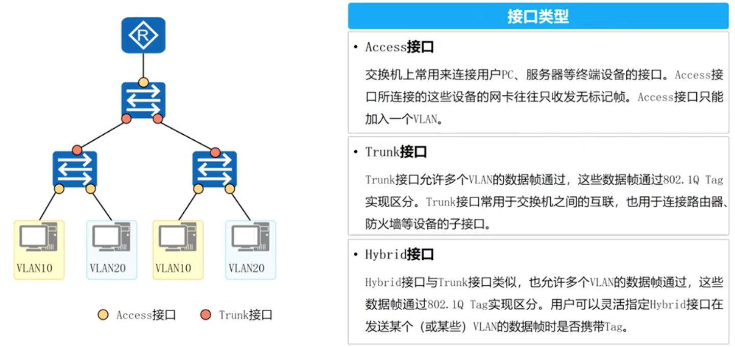 trunk什么意思中文图片