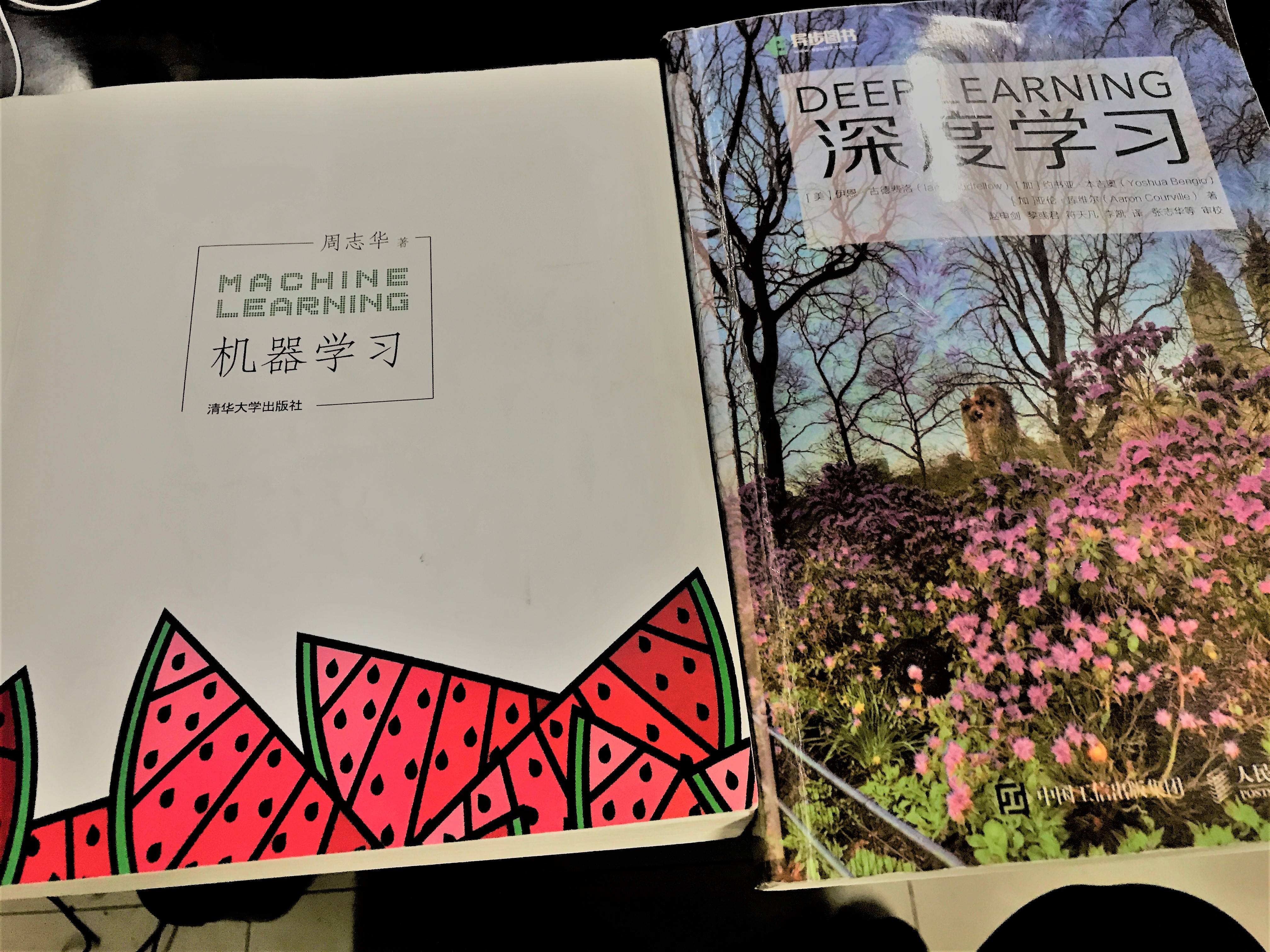 经典的西瓜书和深度学习圣经