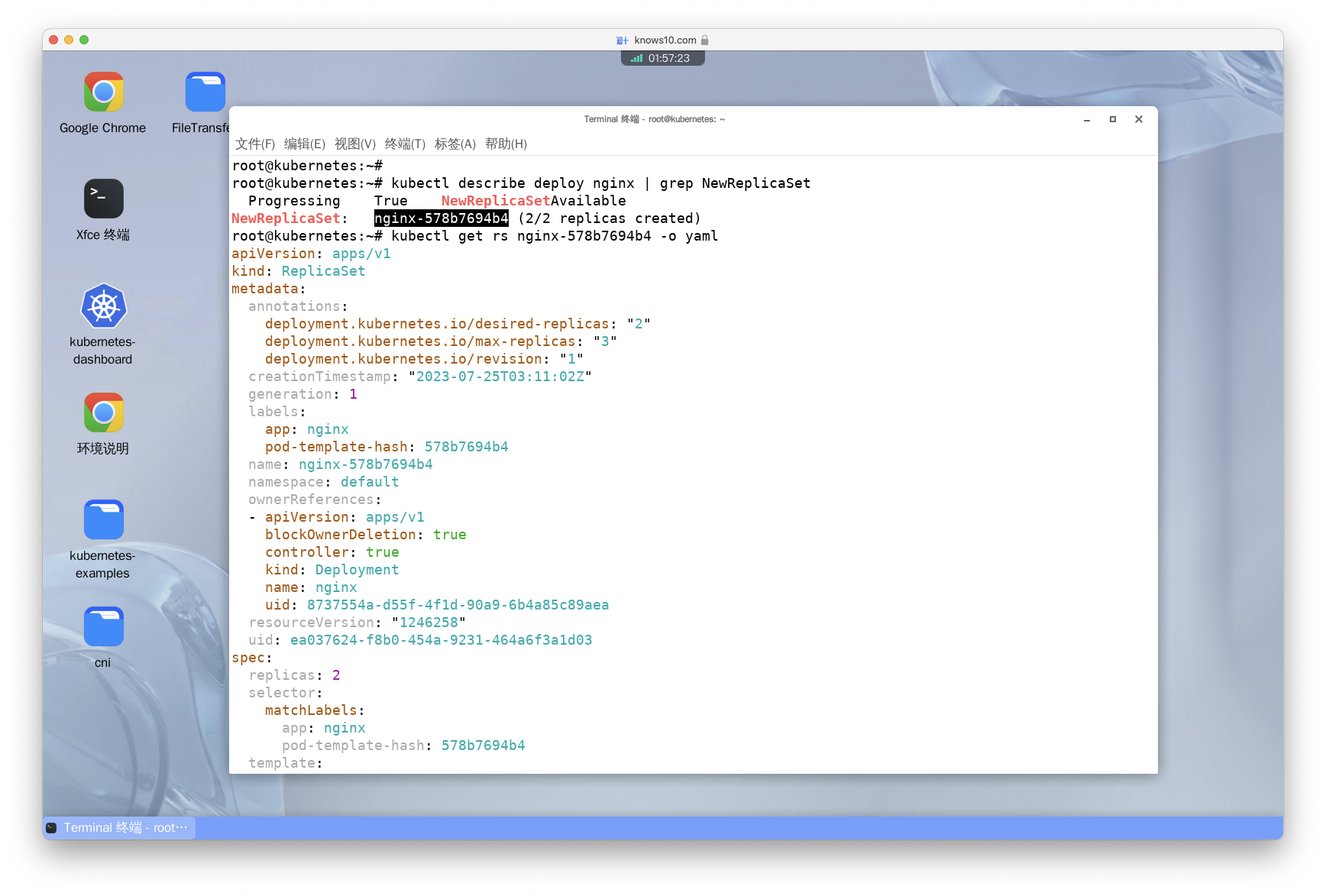 View the YAML of the replica set that was created by this deployment.