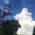 osc_51747004