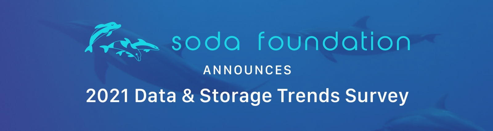 SODA 基金会开展 2021 年数据与存储趋势调查