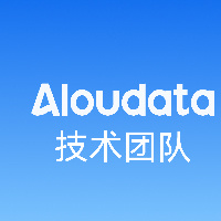 Aloudata技术团队