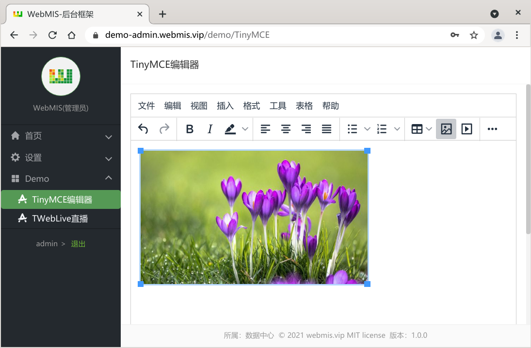 WebMIS 1.0.0 正式版，全栈开发基础框架