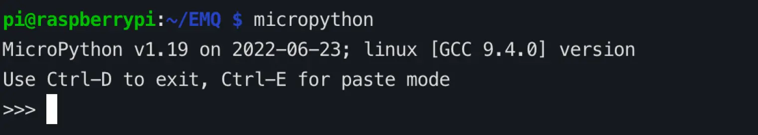 MicroPython