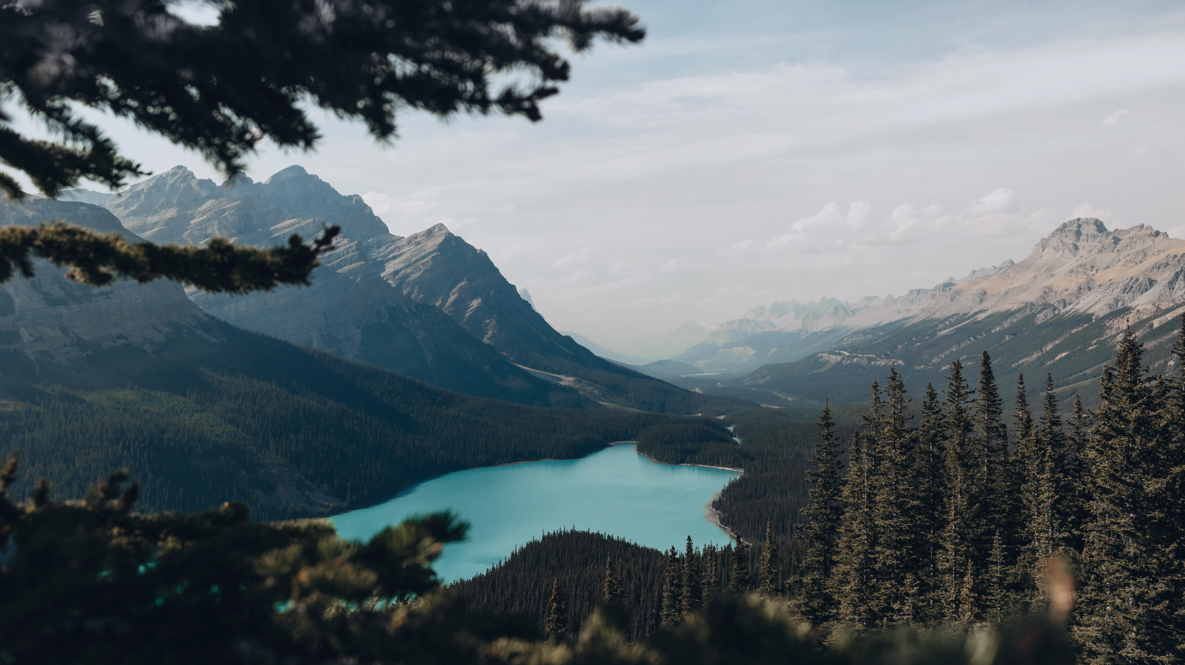 优秀的个人博客,低调大师