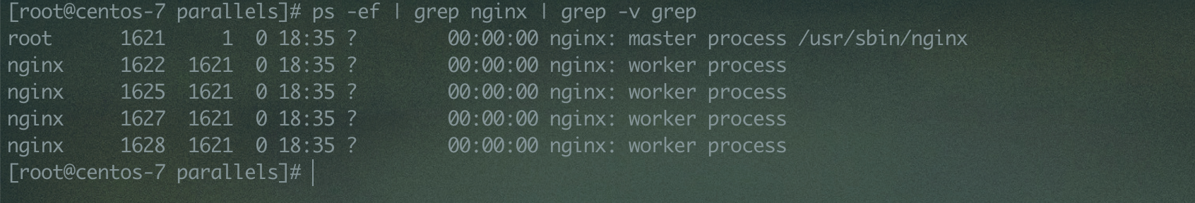 image-20200327222127446