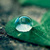 in_link