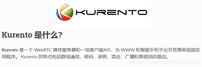 Kurento实战之三：知识点小导游 