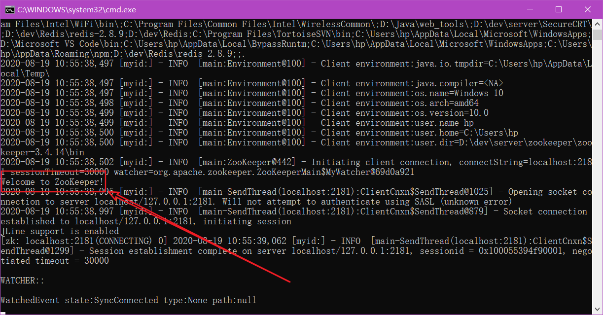 客户端启动成功 客户端启动成功