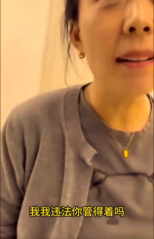 被女高管违法开除员工发声，因反对用盗版 EDA 工具设计芯片遭针对