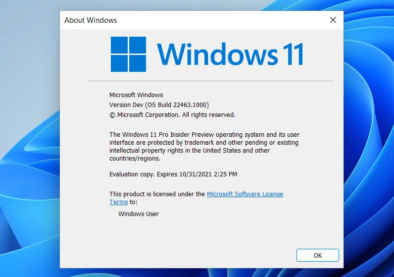 开源 Windows 11 安装脚本绕过 TPM 和系统硬件检查