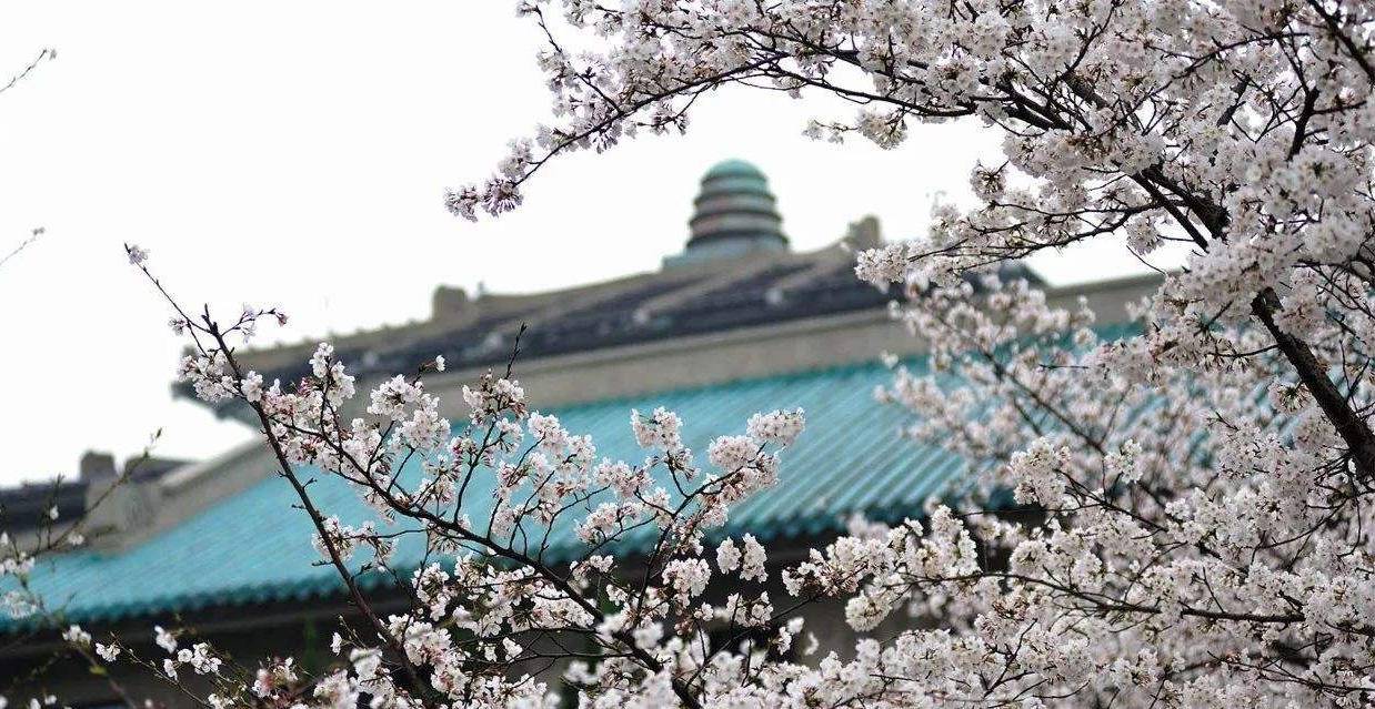 疫情下的情人节，疫情防护语料库助你靠谱保护你爱的人