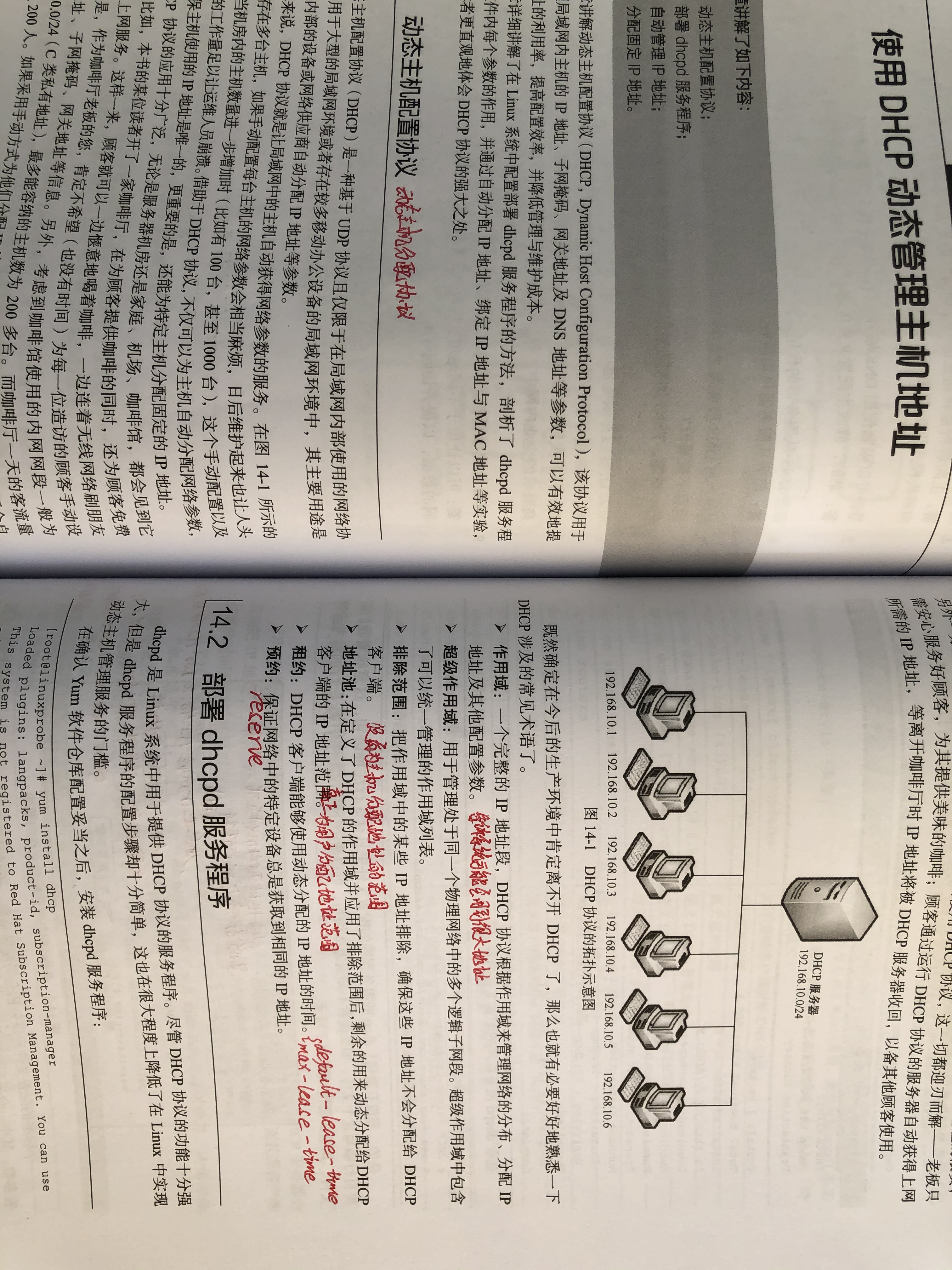 麦田旅行者