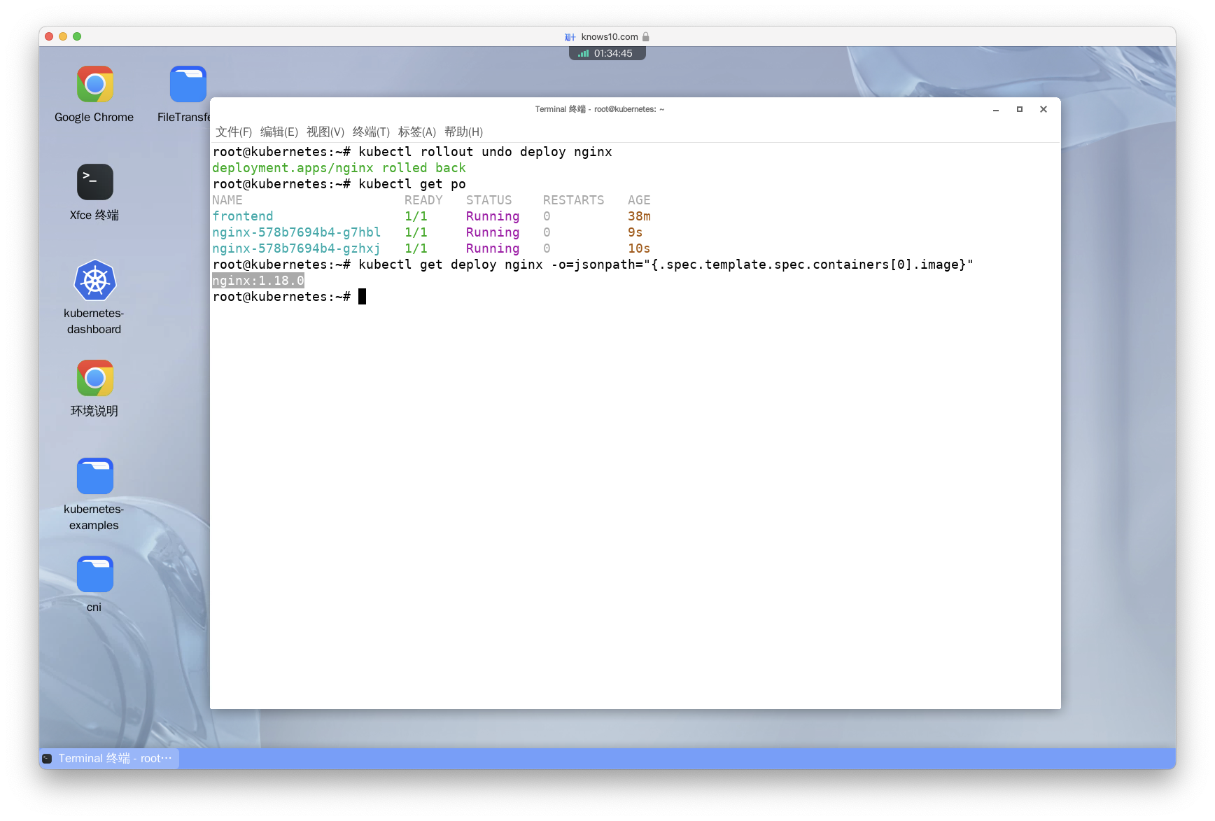 Undo the latest rollout and verify that new pods have the old image (nginx:1.18.0).