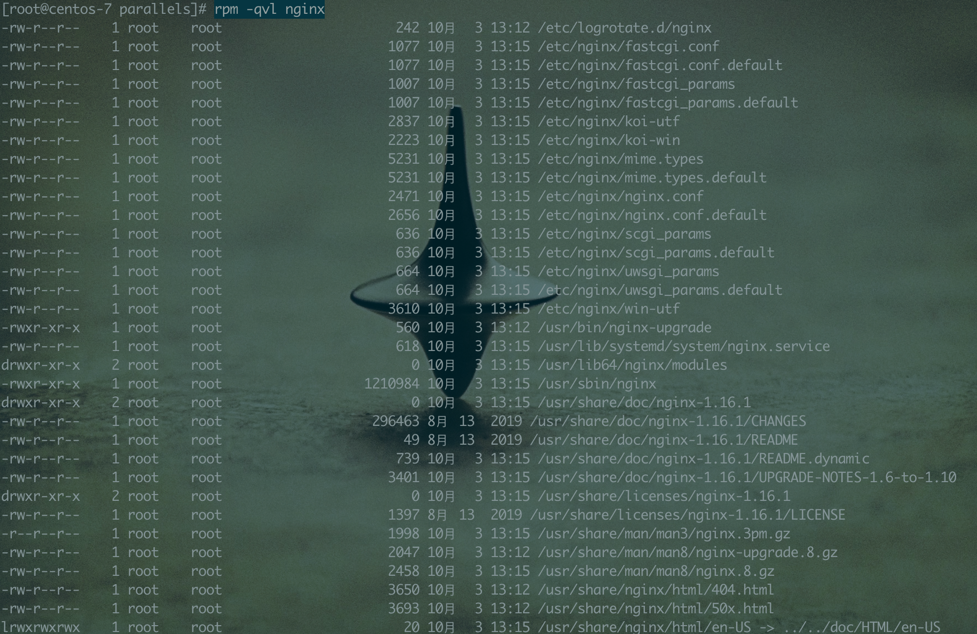 image-20200327221058643