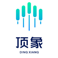顶象技术