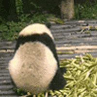 linuxlibsMax