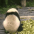linuxlibsMax