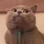 皮皮猪_ 皮皮猪_