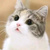 Enosh_Wang