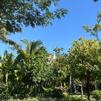 qucheng晓彤