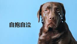 钱已付，货没发？应用内支付0掉单处理方法了解一下！