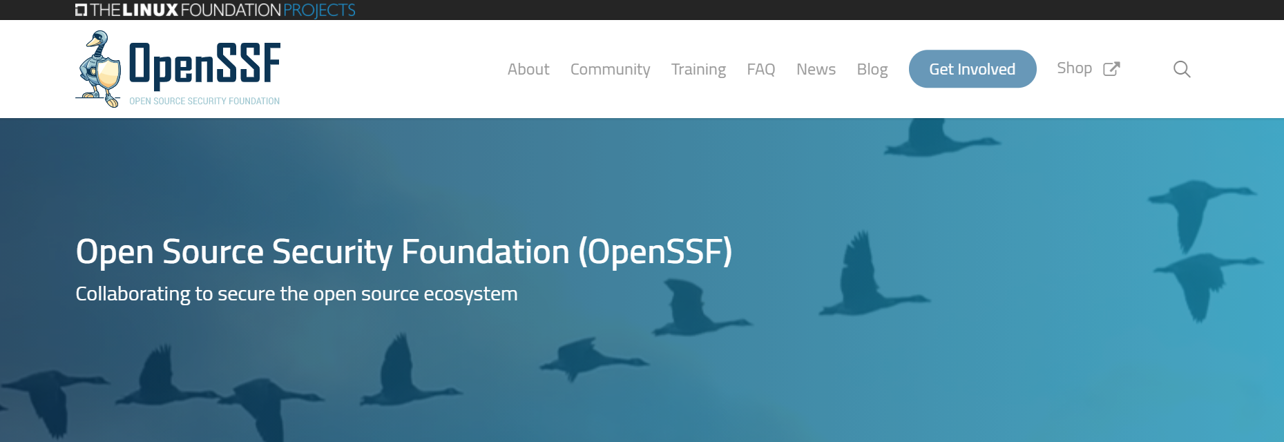 OpenSSF 新进展：推出工具和数据集 CVE 基准，建立安全评分卡