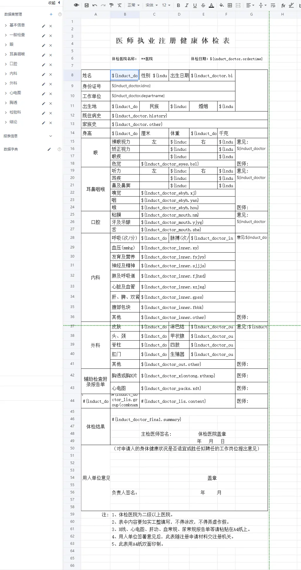 制作打印报表费时费力？积木报表帮你轻松搞定—医院体检项目实战(图5)