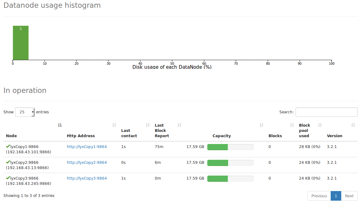 全分布式集群搭建结果
