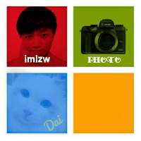 imlzw