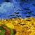 Links_