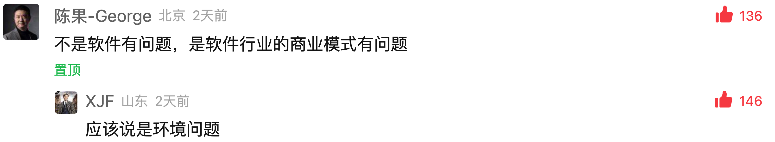 广大网友对《中国软件行业几乎全军覆没》的评论精选插图3