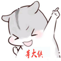 董大侠