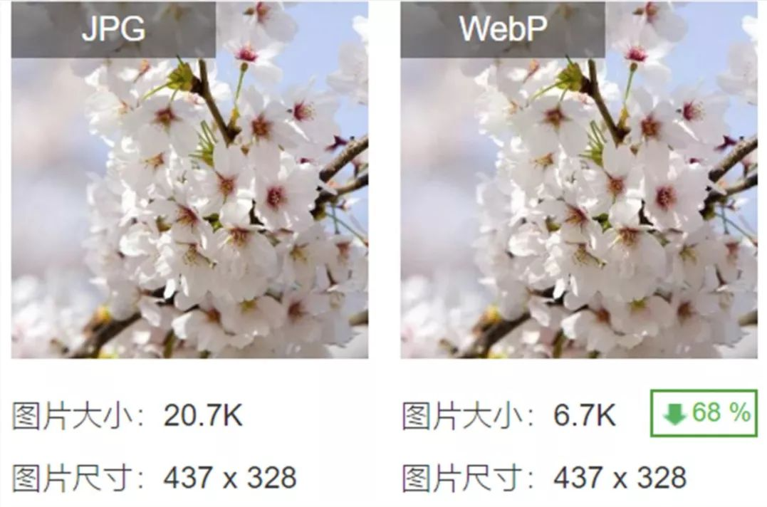 JPEG 与 WebP 同图片压缩对比