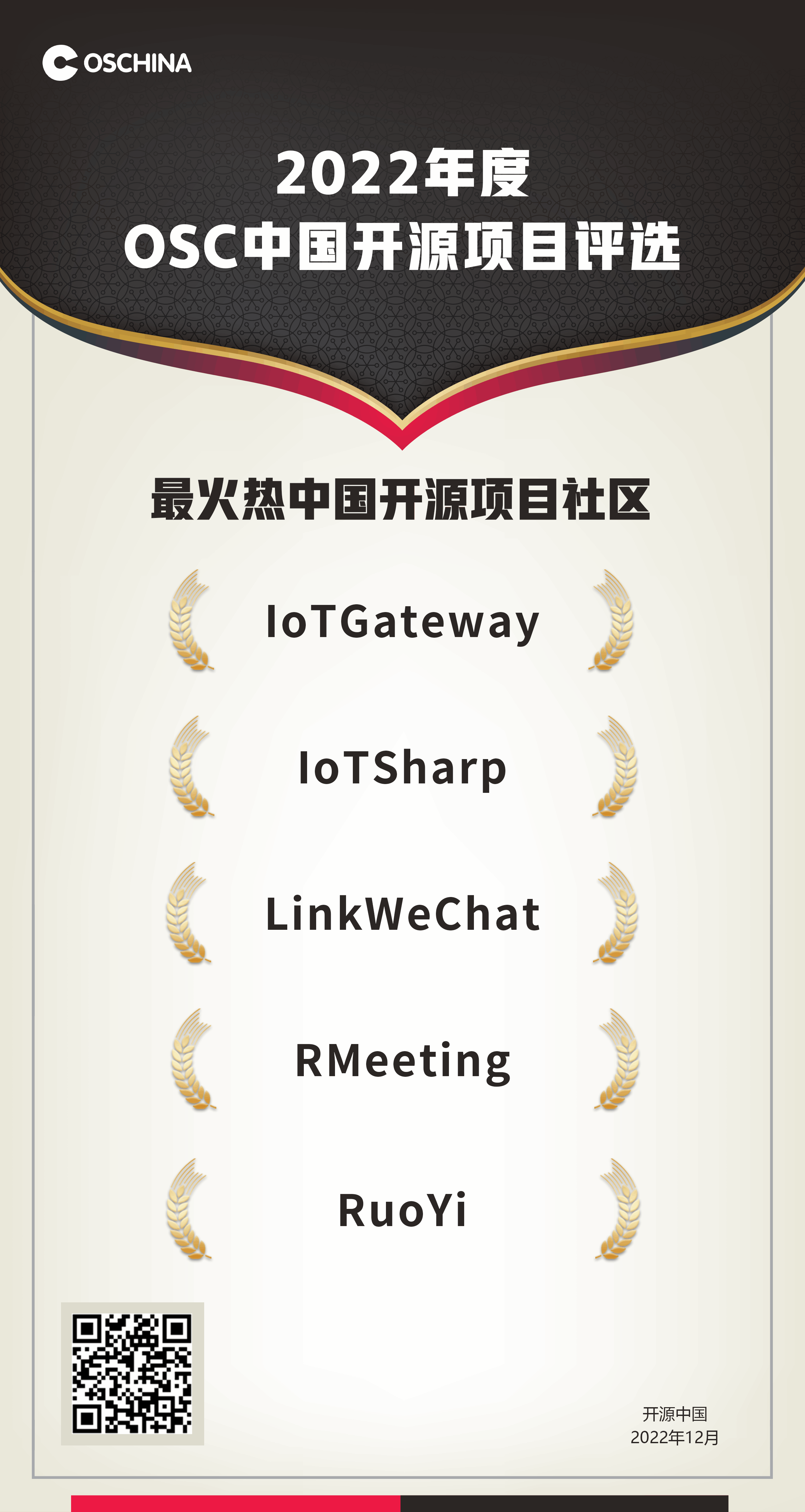 2022 最火热中国开源项目社区获奖项目