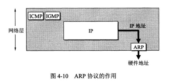 ARP协议