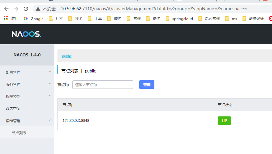nacos节点界面 nacos节点界面