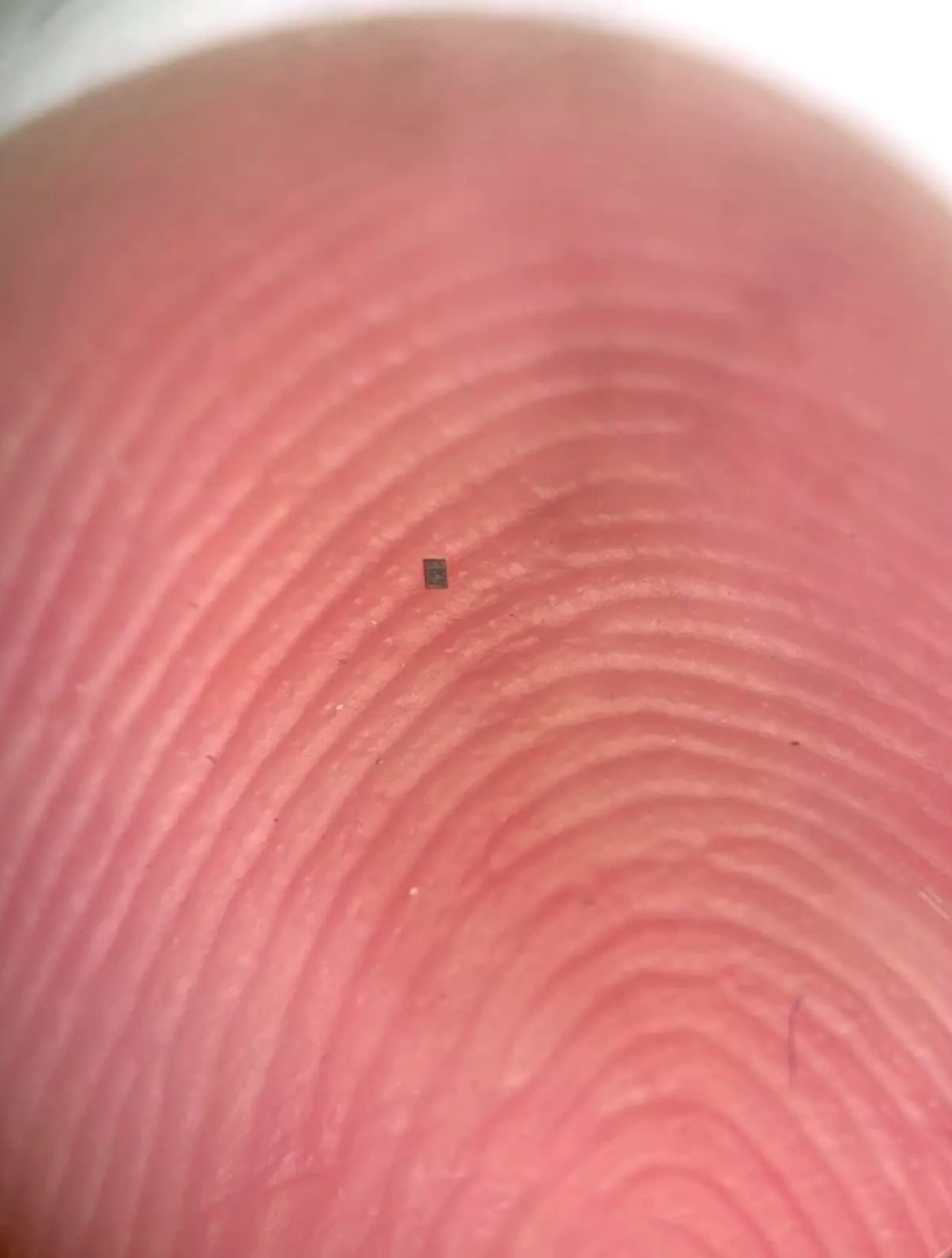 研究人员打造全球最小的可编程自主机器人