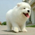 ding_code ding_code