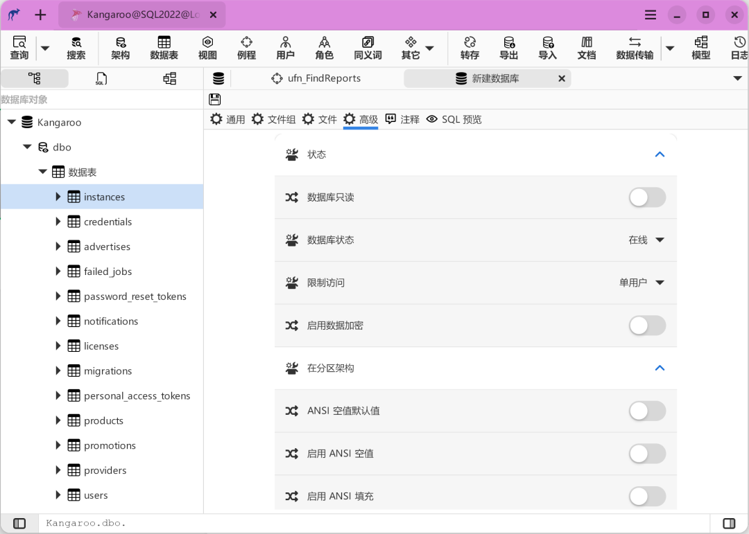 数据库对象高级属性