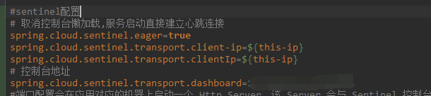 Sentinel 控制台实时监控空白