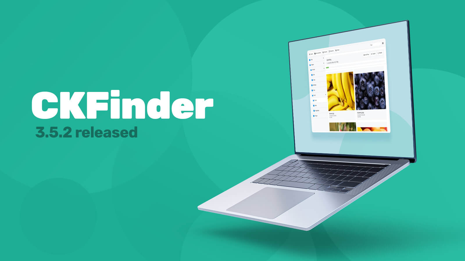 CKFinder 3.5.2 发布，升级第三方前端库