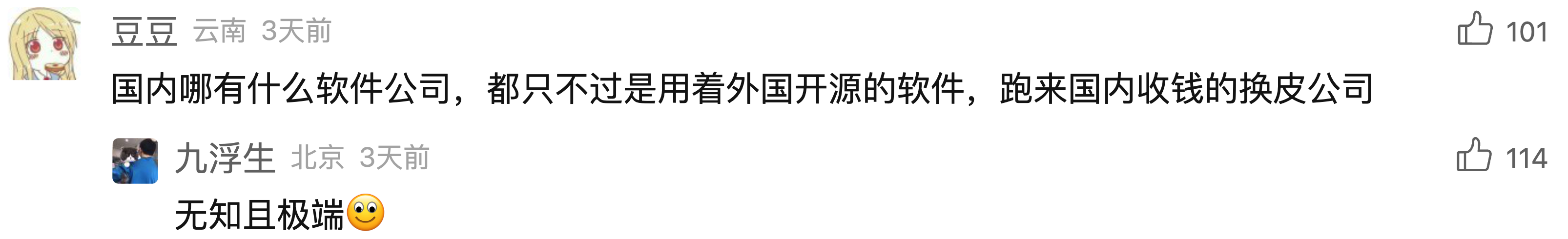 广大网友对《中国软件行业几乎全军覆没》的评论精选插图10