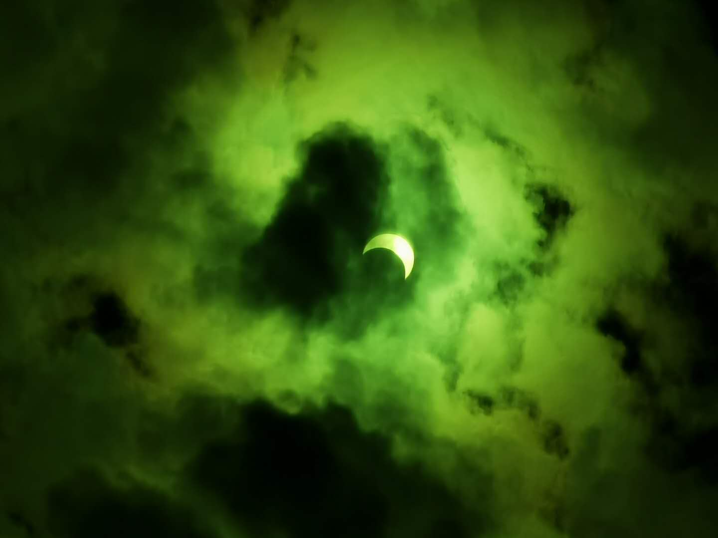 优秀的个人博客,低调大师