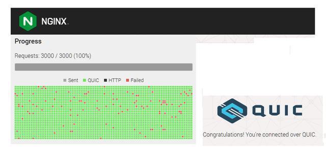 nginx-quic